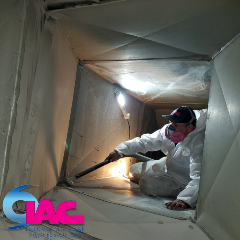 Can UV Lights Clean Air Ducts and Mold? Learn From IAC-Pros